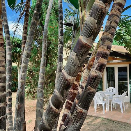 Bungalow Tropical Nº6 - Son Xoriguer公寓 外观 照片