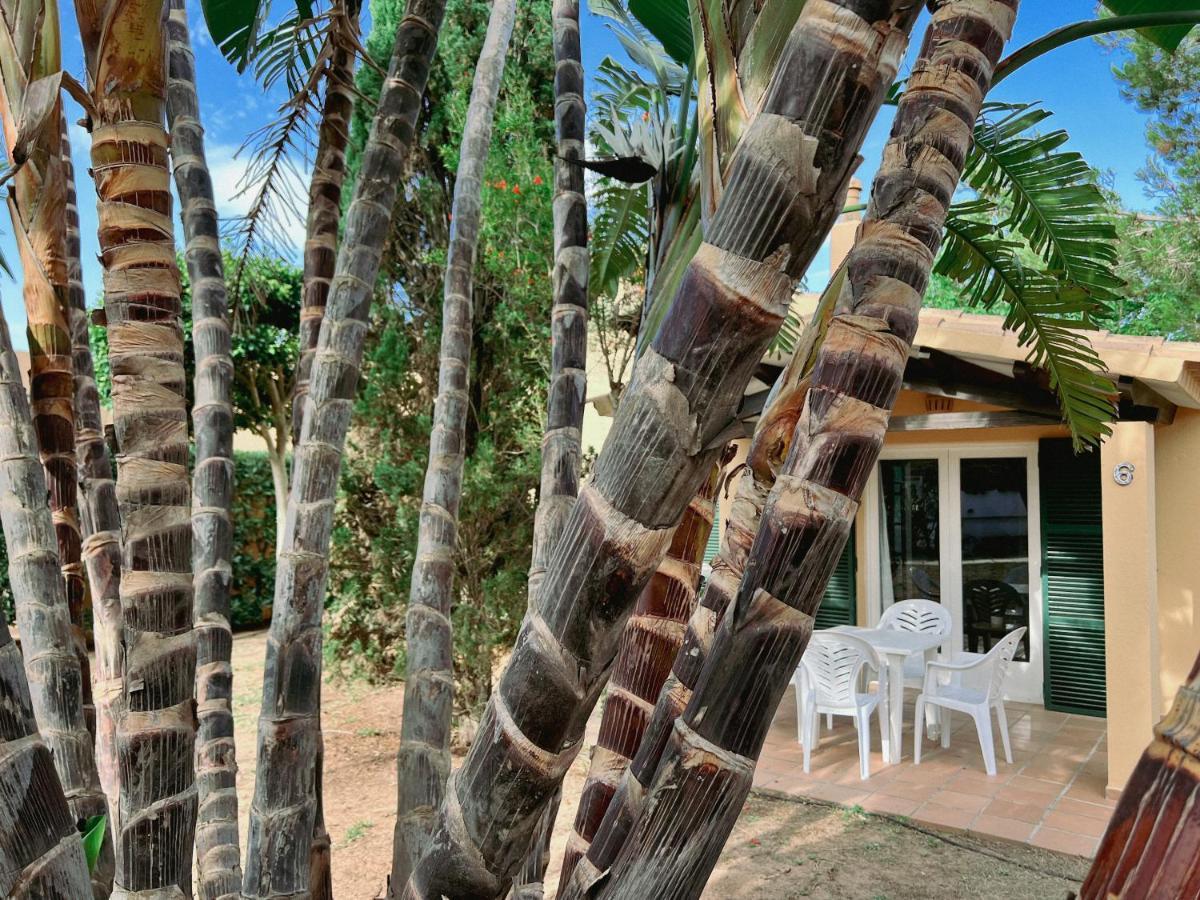 Bungalow Tropical Nº6 - Son Xoriguer公寓 外观 照片