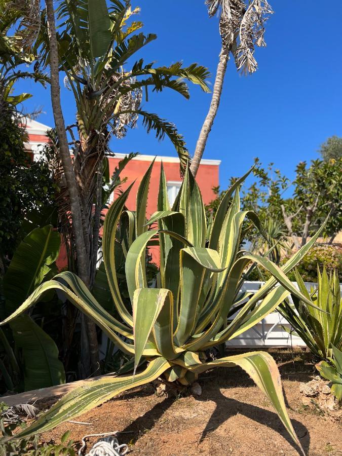 Bungalow Tropical Nº6 - Son Xoriguer公寓 外观 照片
